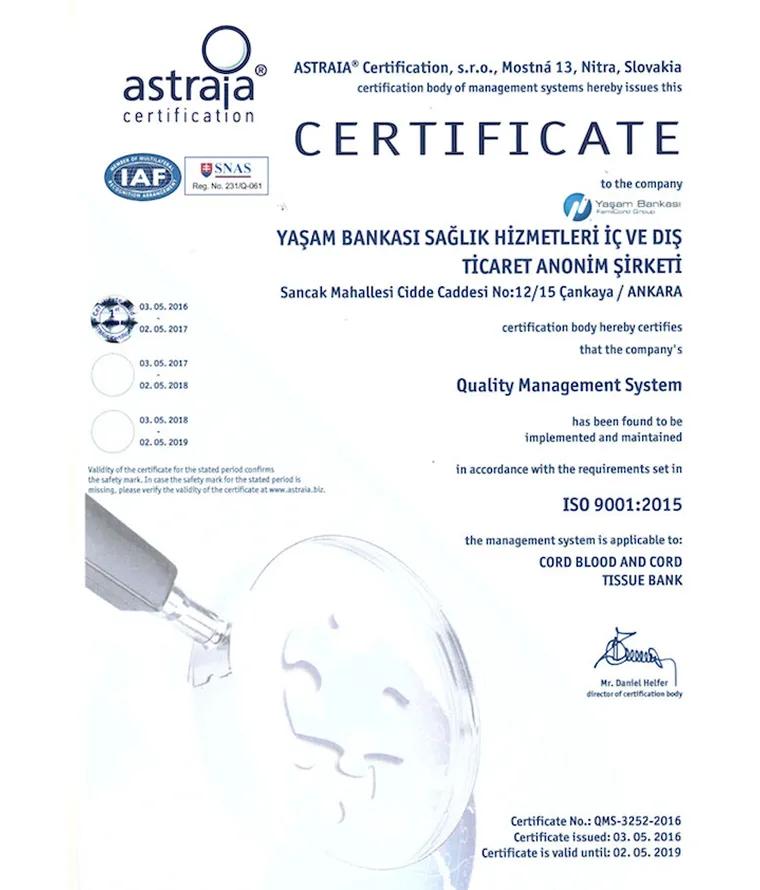 ISO_ 9001_2015 standard for Quality Management System – Yasam Bankası